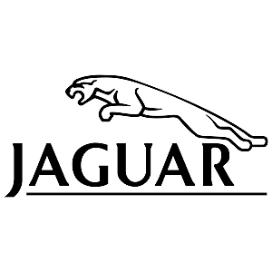 Ремонт гидротрансформатора Jaguar